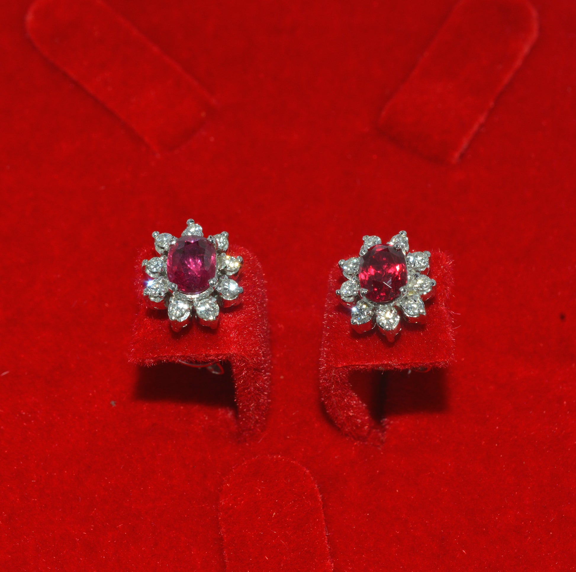 18ct White Gold - Ruby & Diamond Earrings up