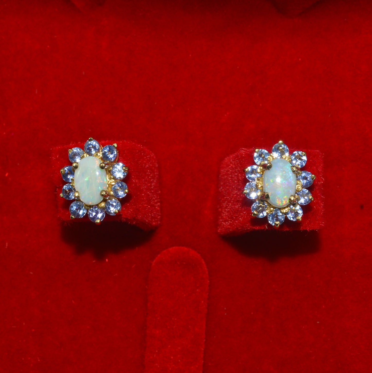 10ct Gold - Opal & Tanzanite Stud Earrings front