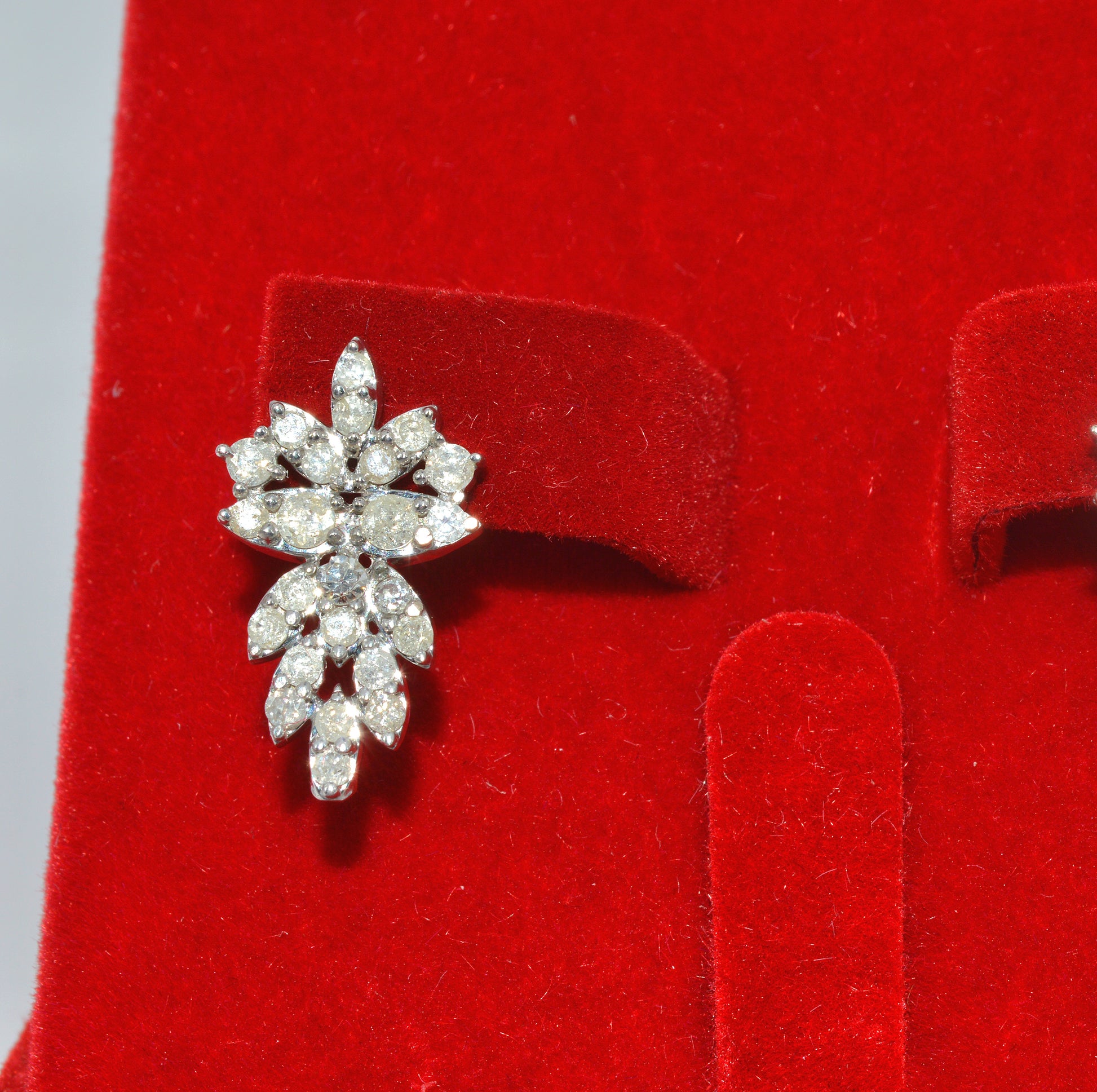 9ct White Gold - Diamond Earrings left close