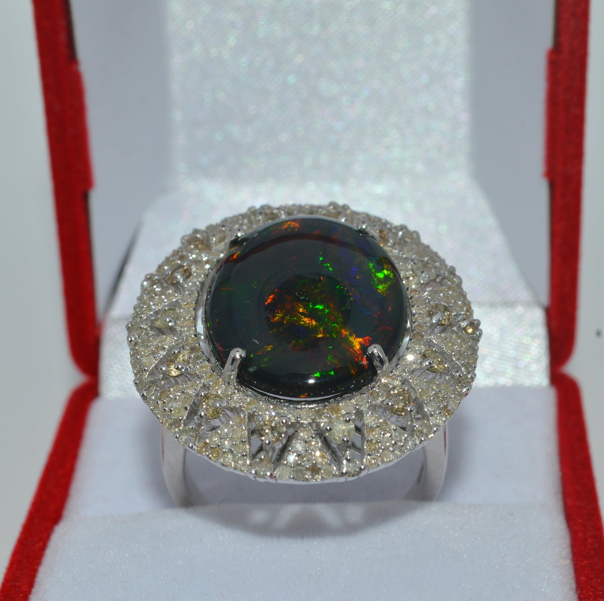 Silver - 6.33ct Black Opal & 1.32ct Diamond Cluster Ring upright front