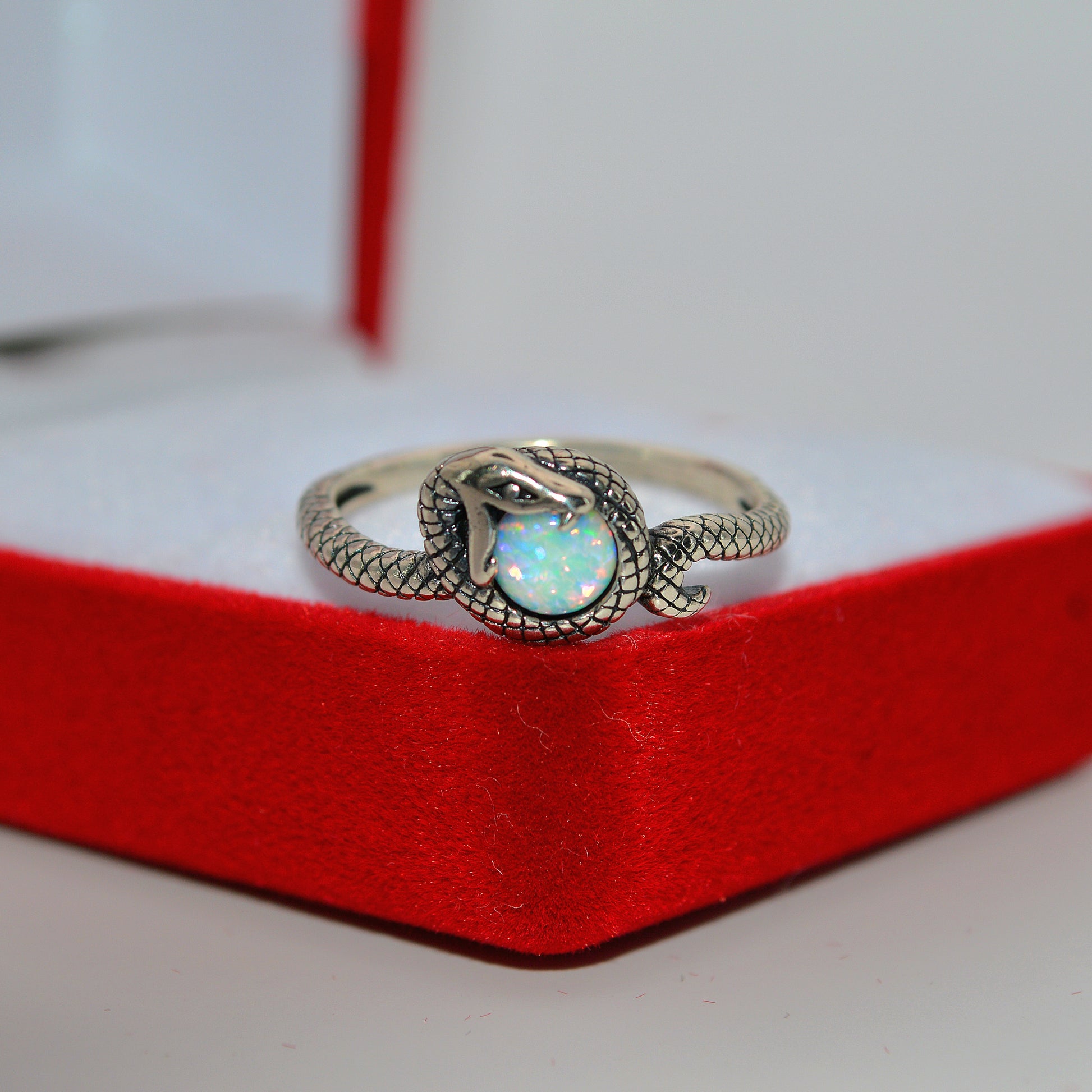 Sterling Silver - Snake Opal Ring front straight on close